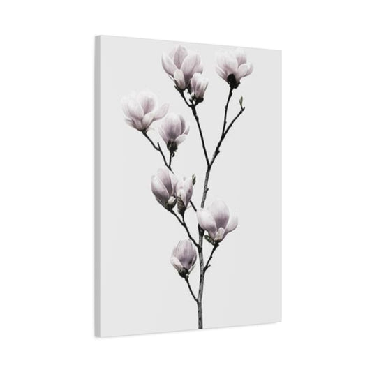 Beautiful Pink Magnolia Flower Wall Art & Canvas Prints