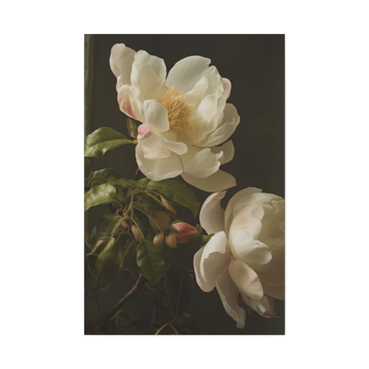 White on Black Background Magnolia Flower Wall Art & Canvas Prints