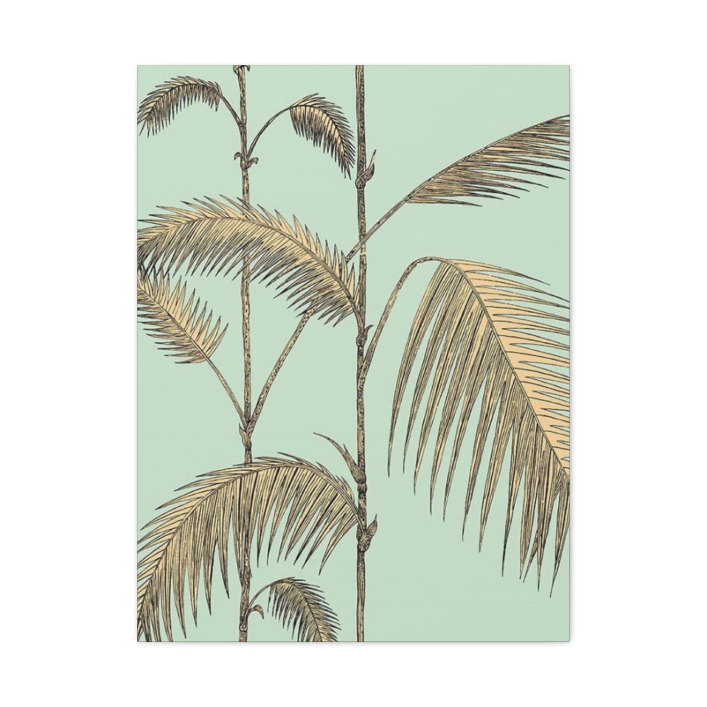 Palm Tree Brown Leaves Close Up Wall Art & Canvas Prints