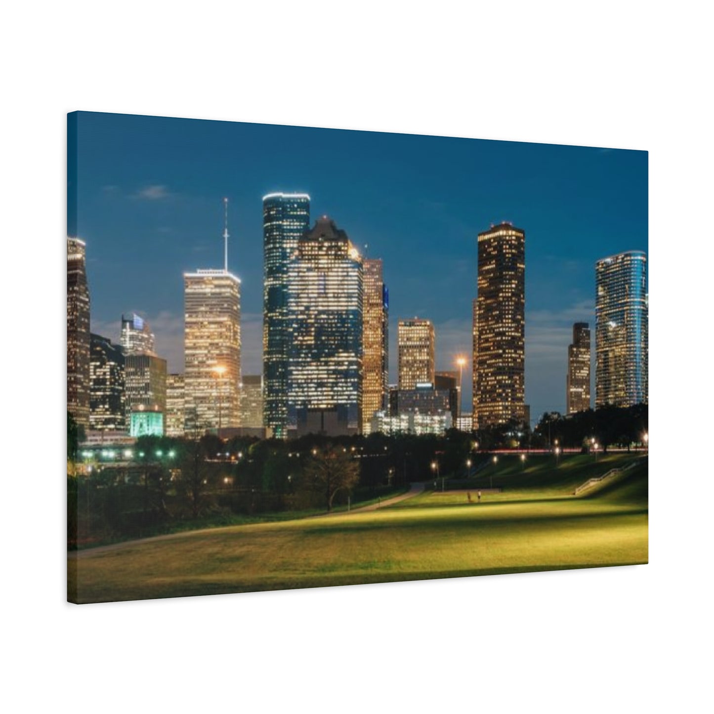 Night view of Houston Skyline Wall Art & Canvas Prints