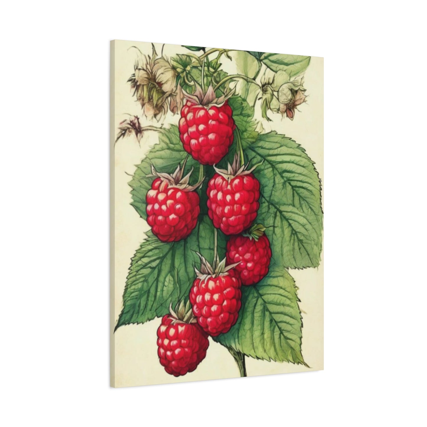 Strawberry Wall Art & Canvas Prints