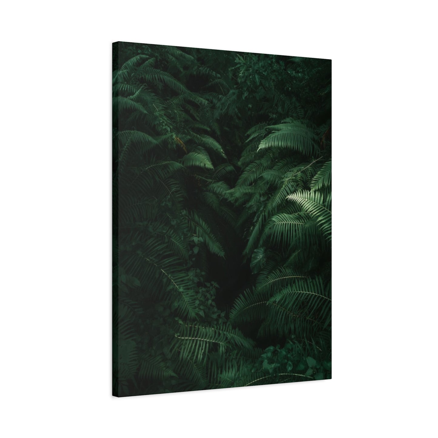 Tropical Forest Wall Art & Canvas Prints