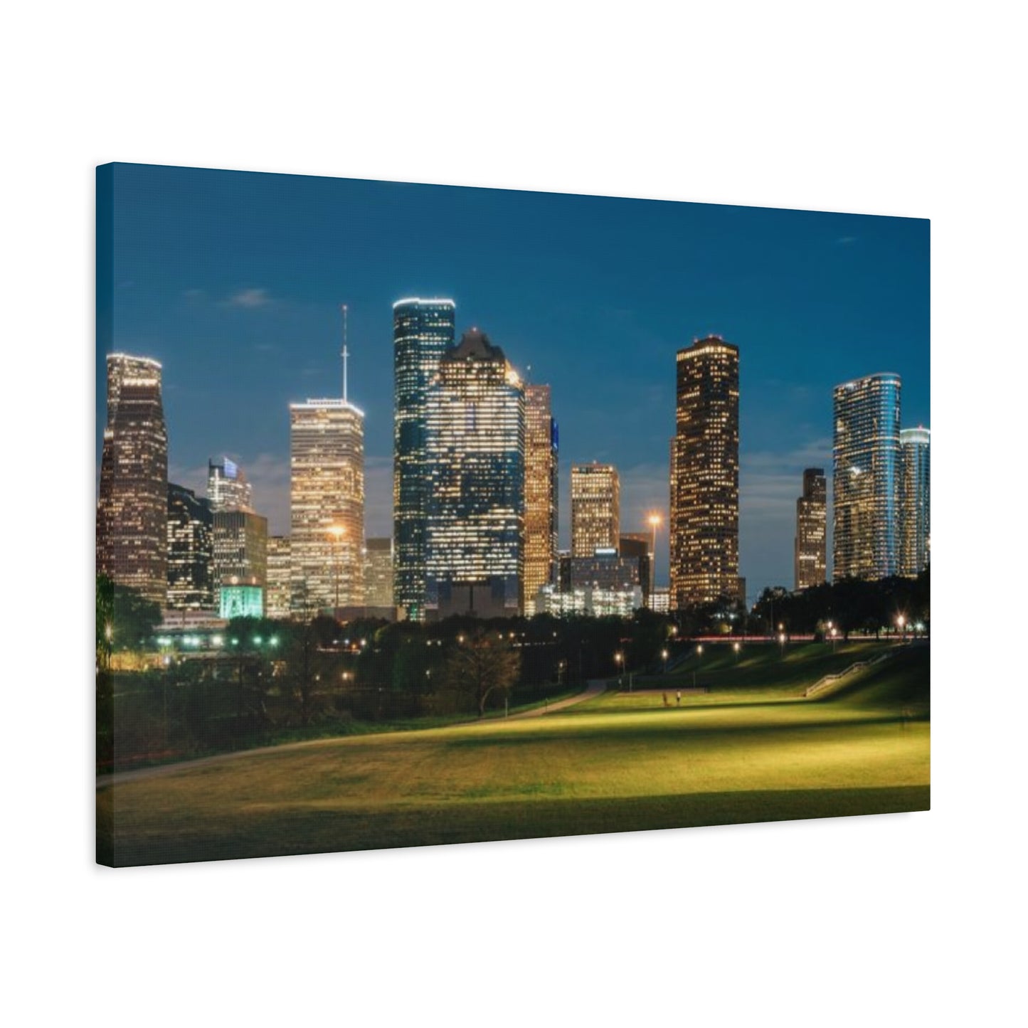 Night view of Houston Skyline Wall Art & Canvas Prints