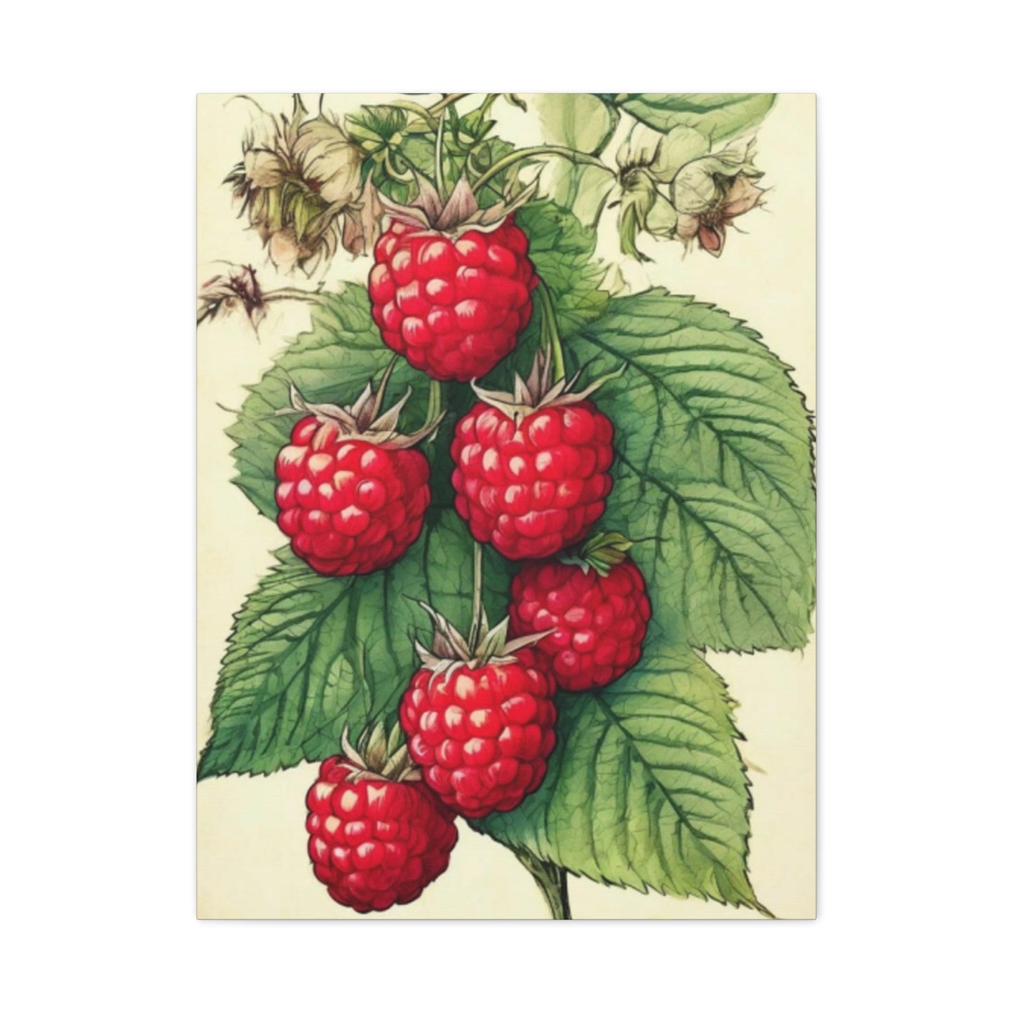 Strawberry Wall Art & Canvas Prints