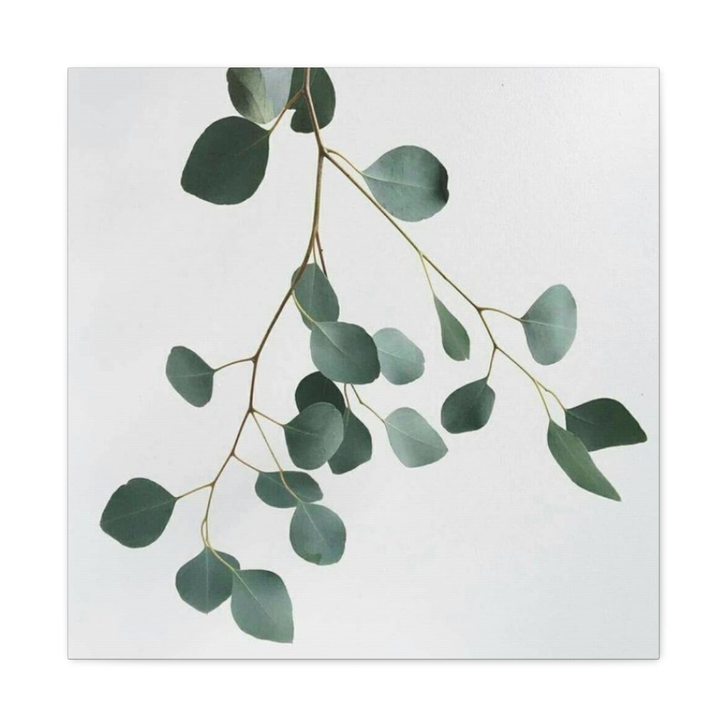 Falling Eucalyptus Plant Wall Art & Canvas Prints