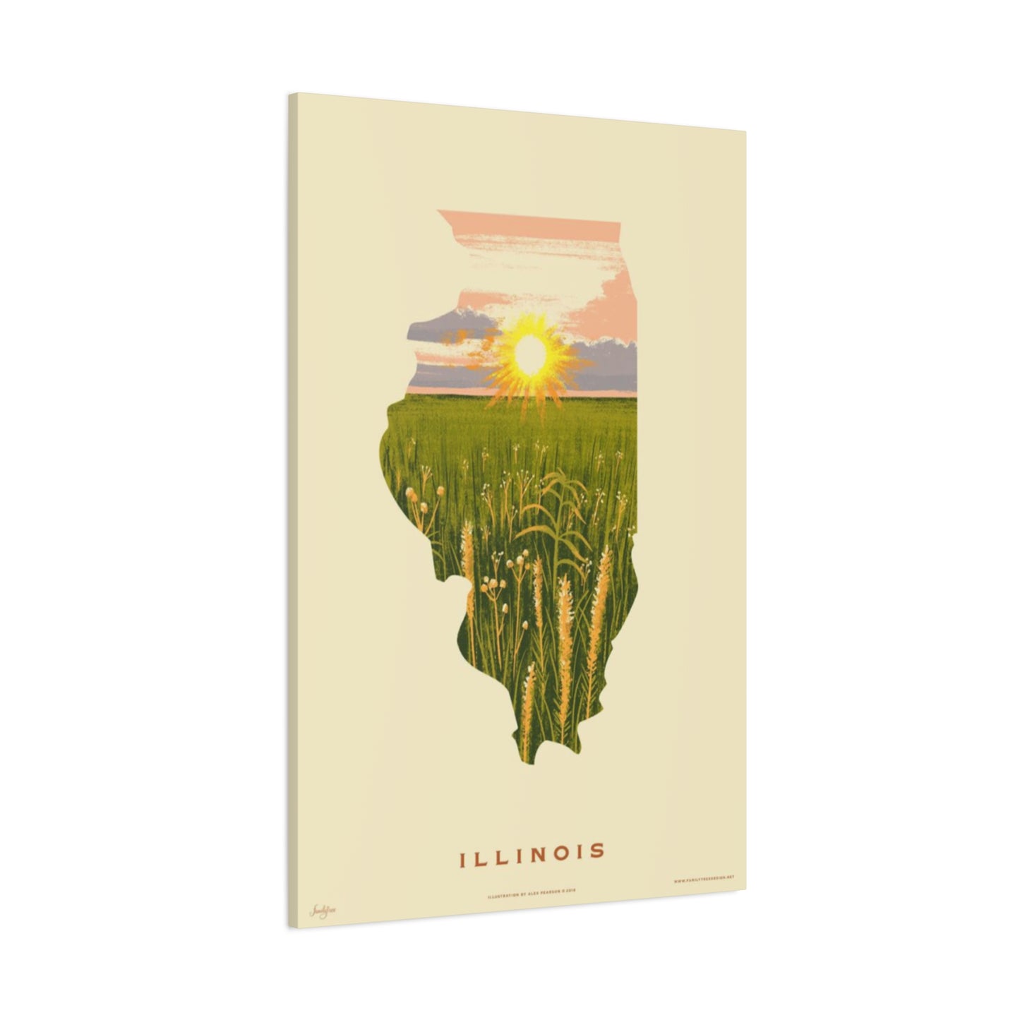 Illinois The National Park Wall Art & Canvas Prints