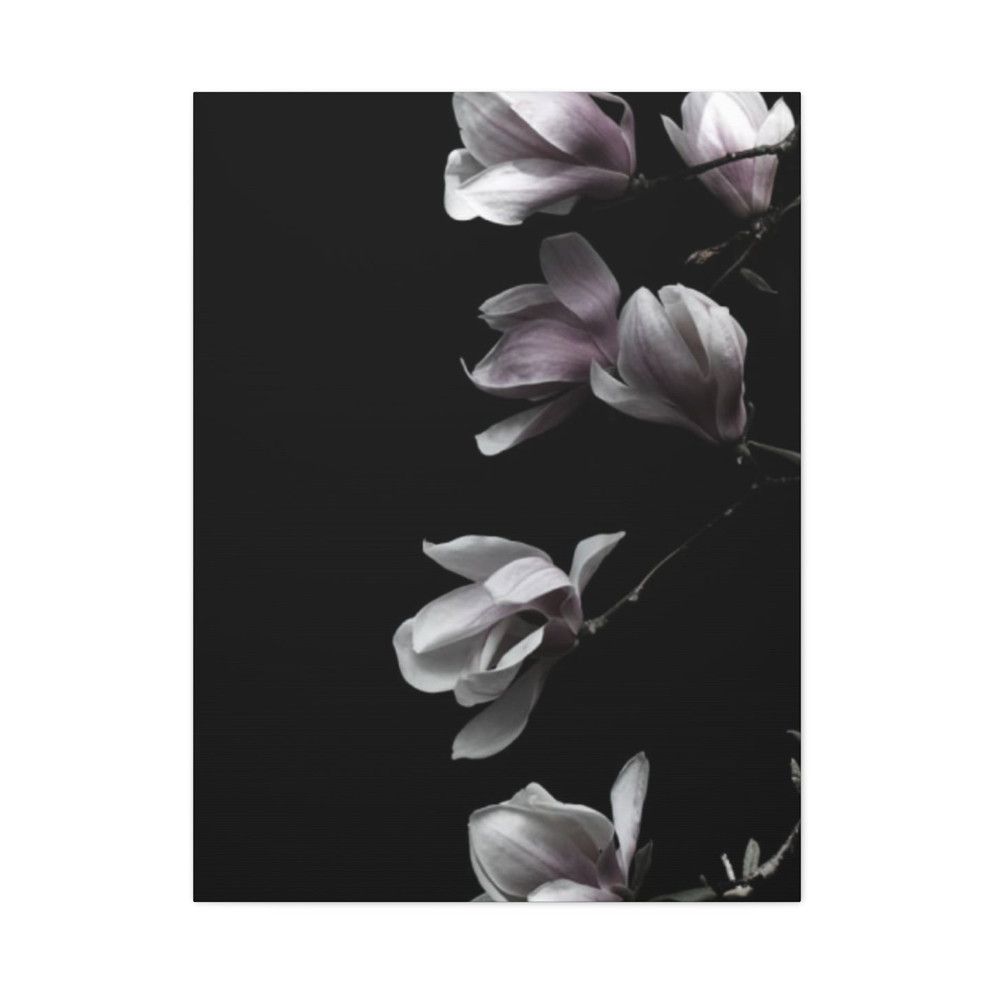 Pink Magnolia Flower with Painting Wall Art & Canvas Prints