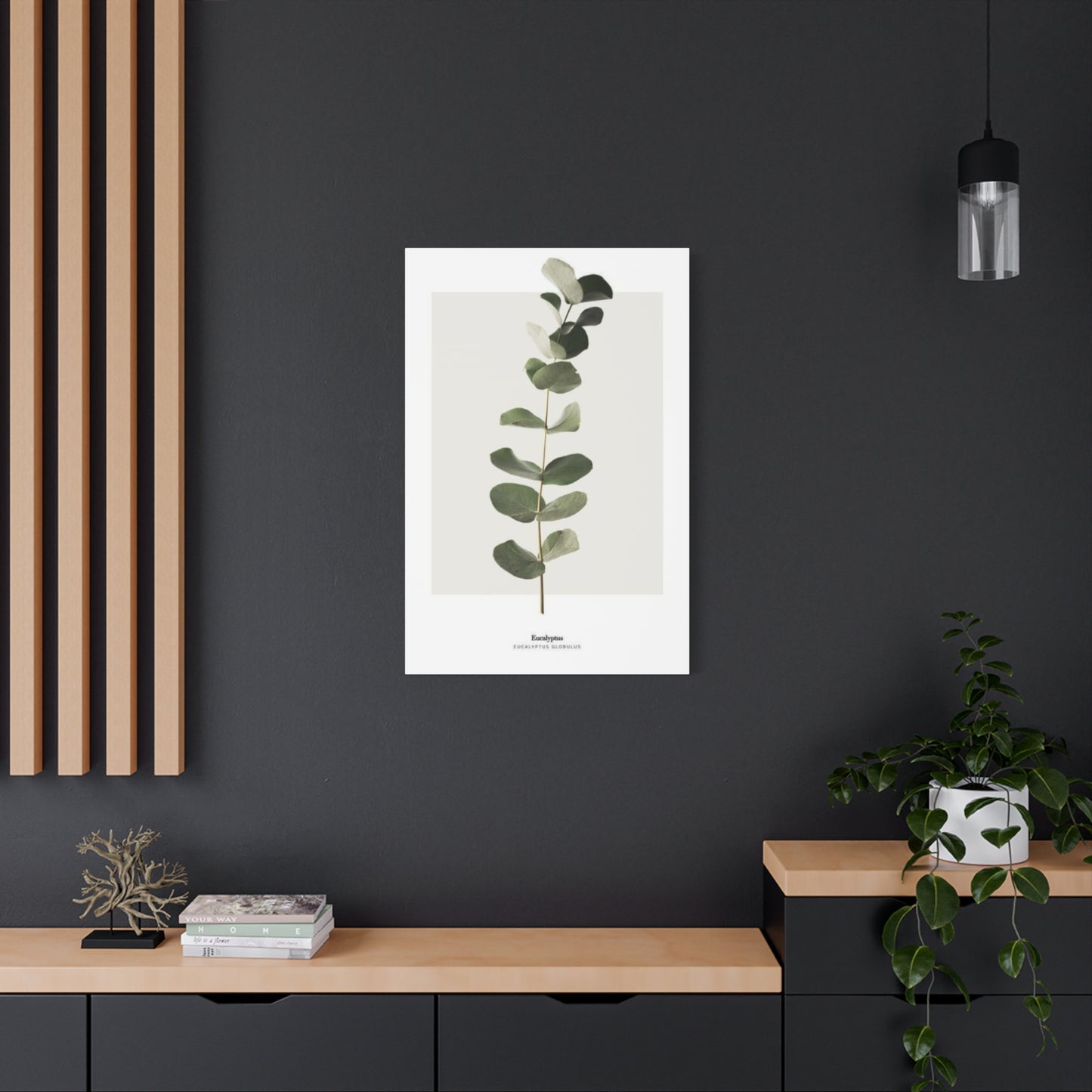 Eucalyptus Wall Art & Canvas Prints