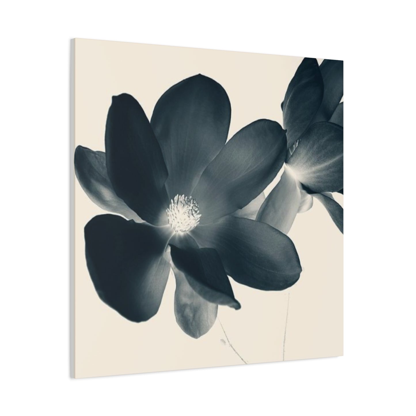 Black Magnolia Flower Wall Art & Canvas Prints