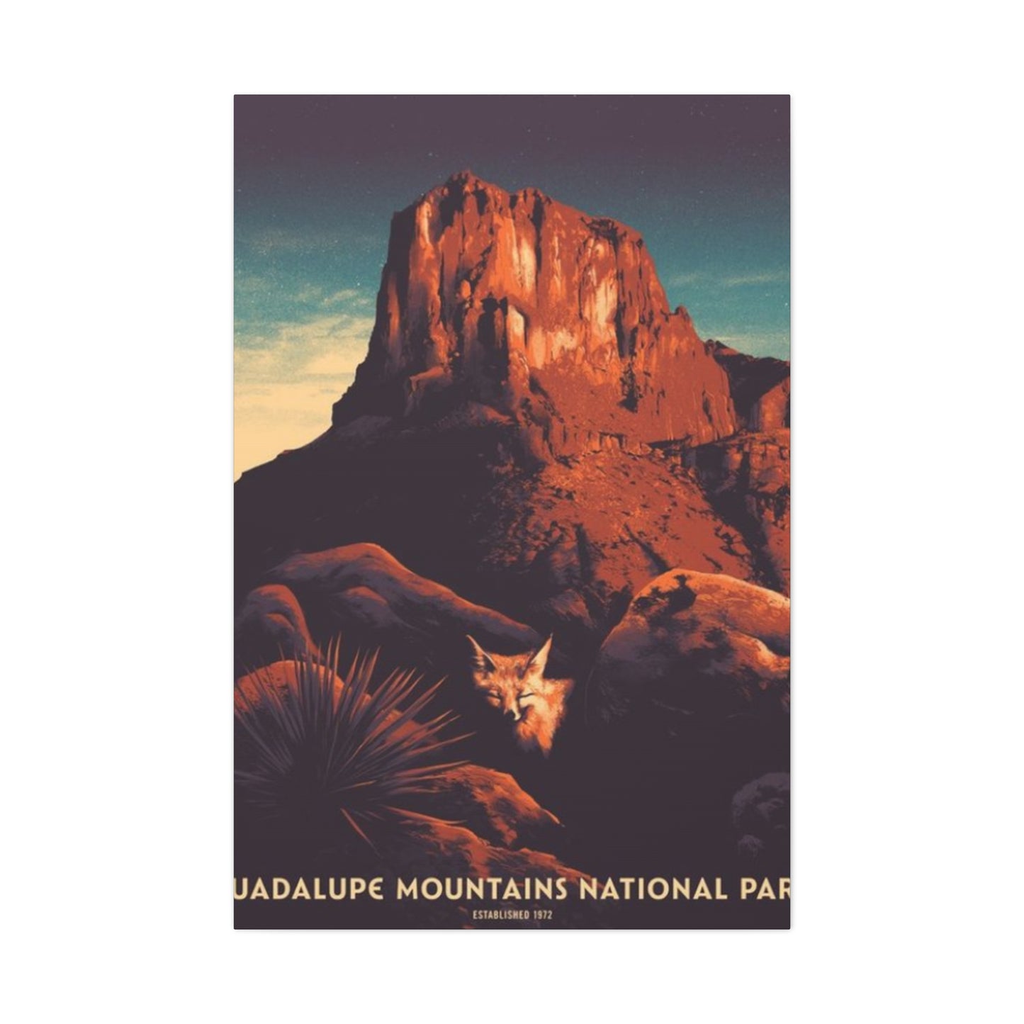 Guadalupe Mountains National Park Wall Art & Canvas Prints