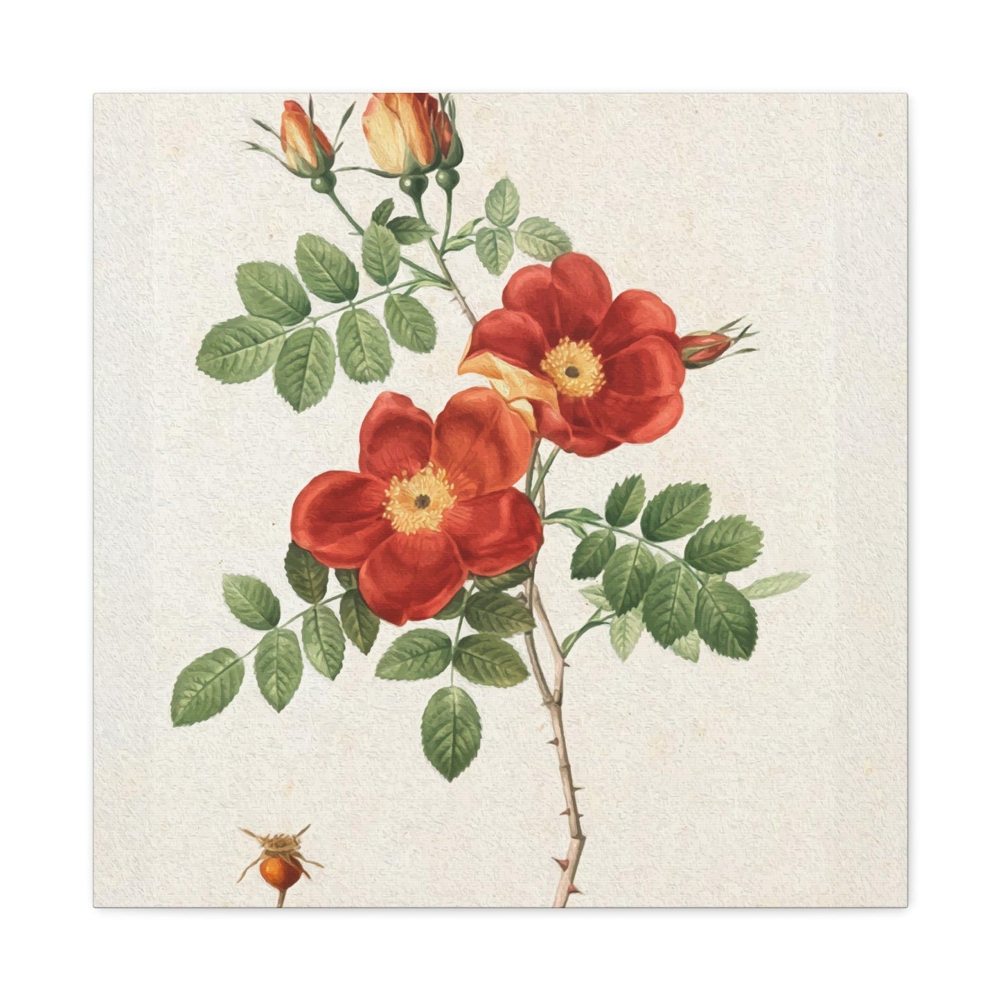 Printed Flower Wall Art & Canvas Prints