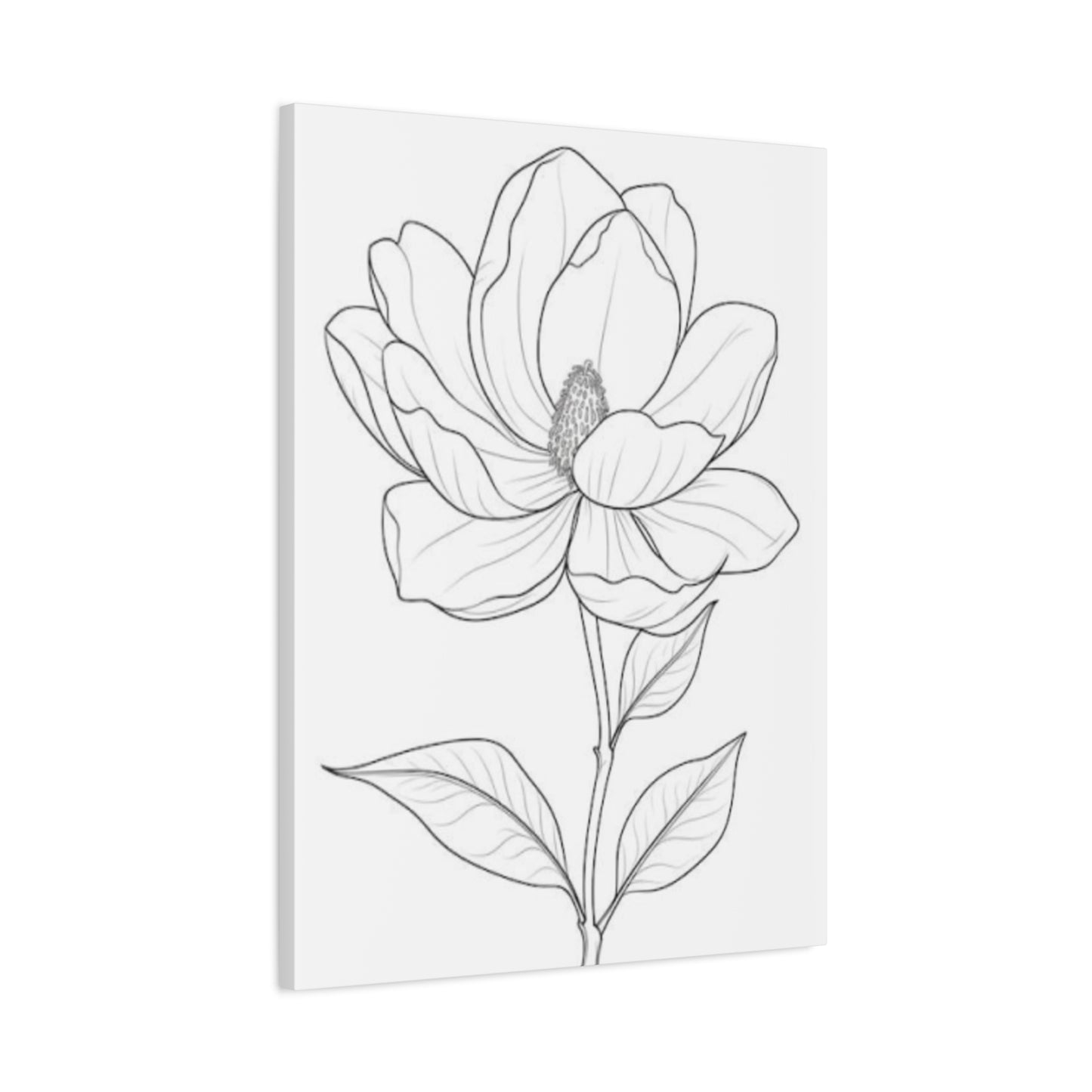 Beautiful Magnolia Flower Sketch Wall Art & Canvas Prints