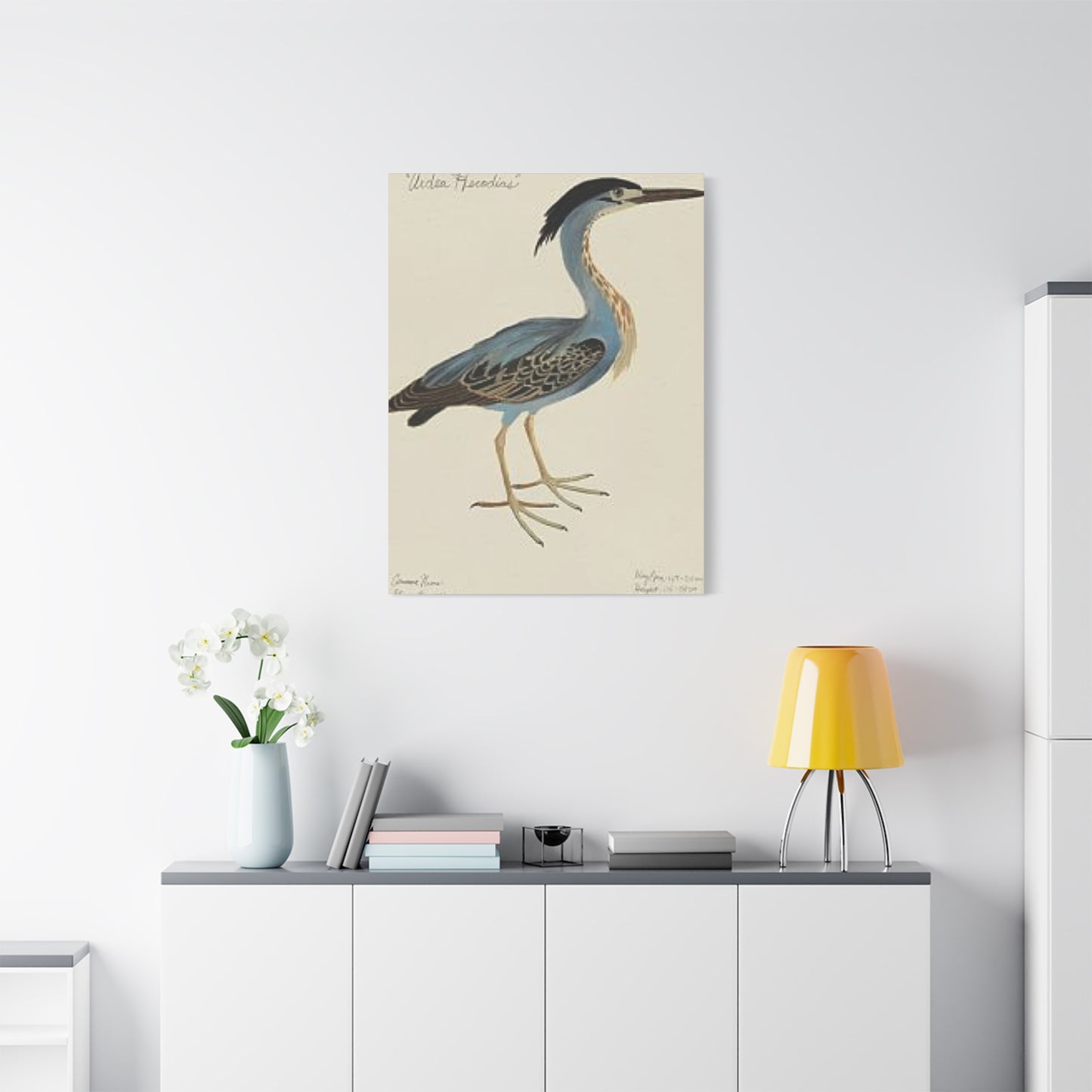 Small Pelican Painting Wall Art & Canvas Prints