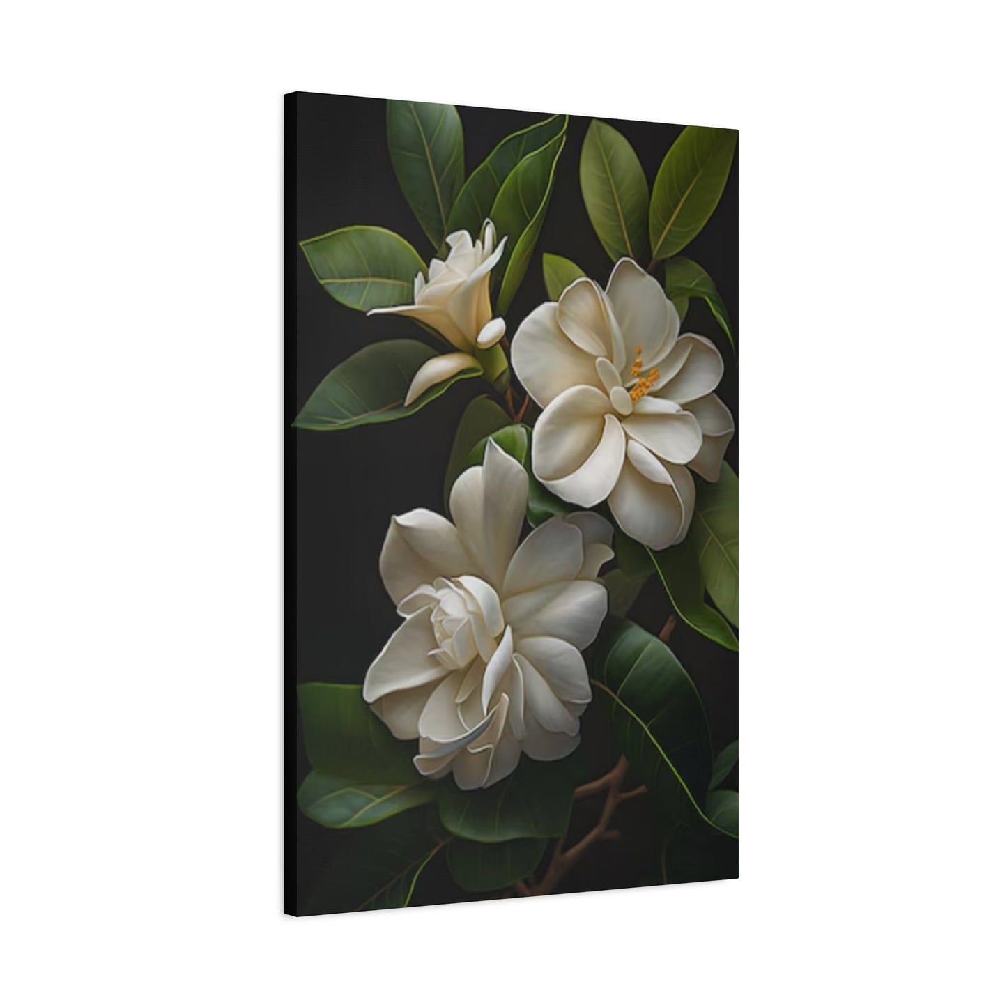 Beautiful Magnolia Flower Photo Wall Art & Canvas Prints