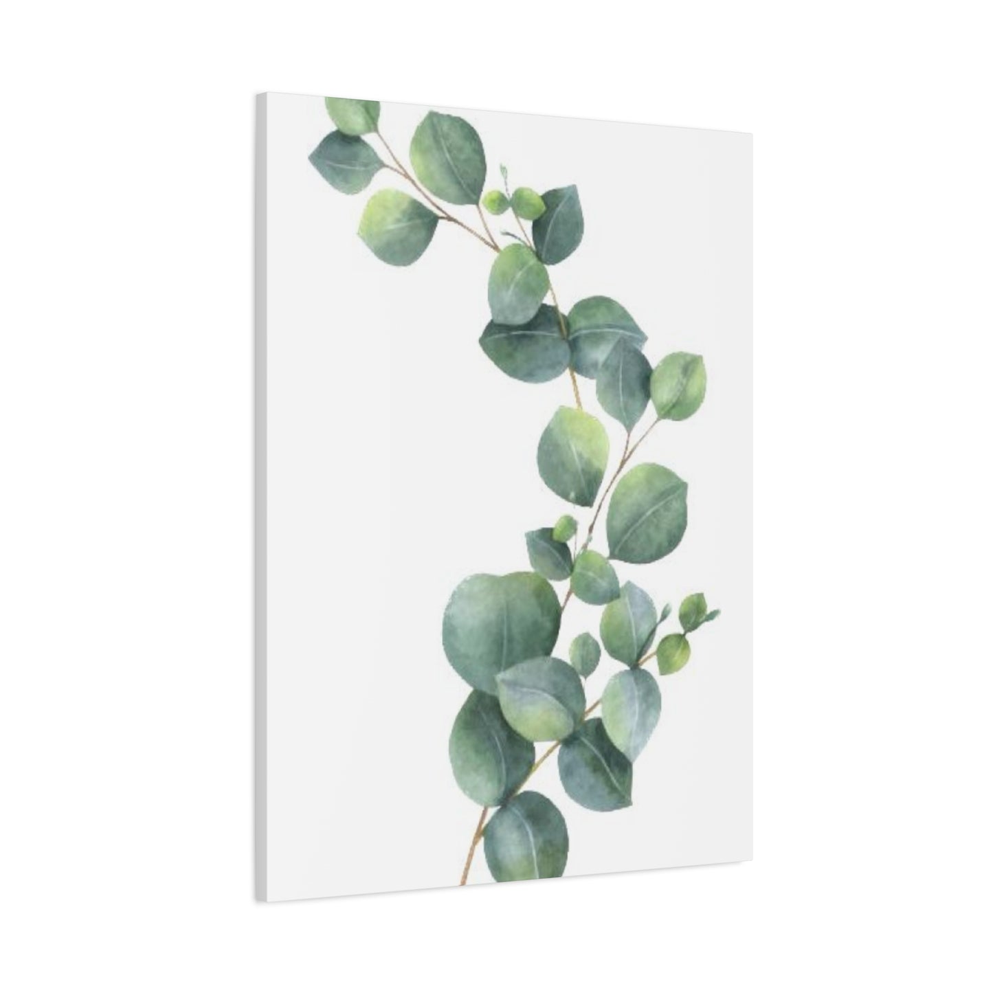 Eucalyptus Stem Wall Art & Canvas Prints