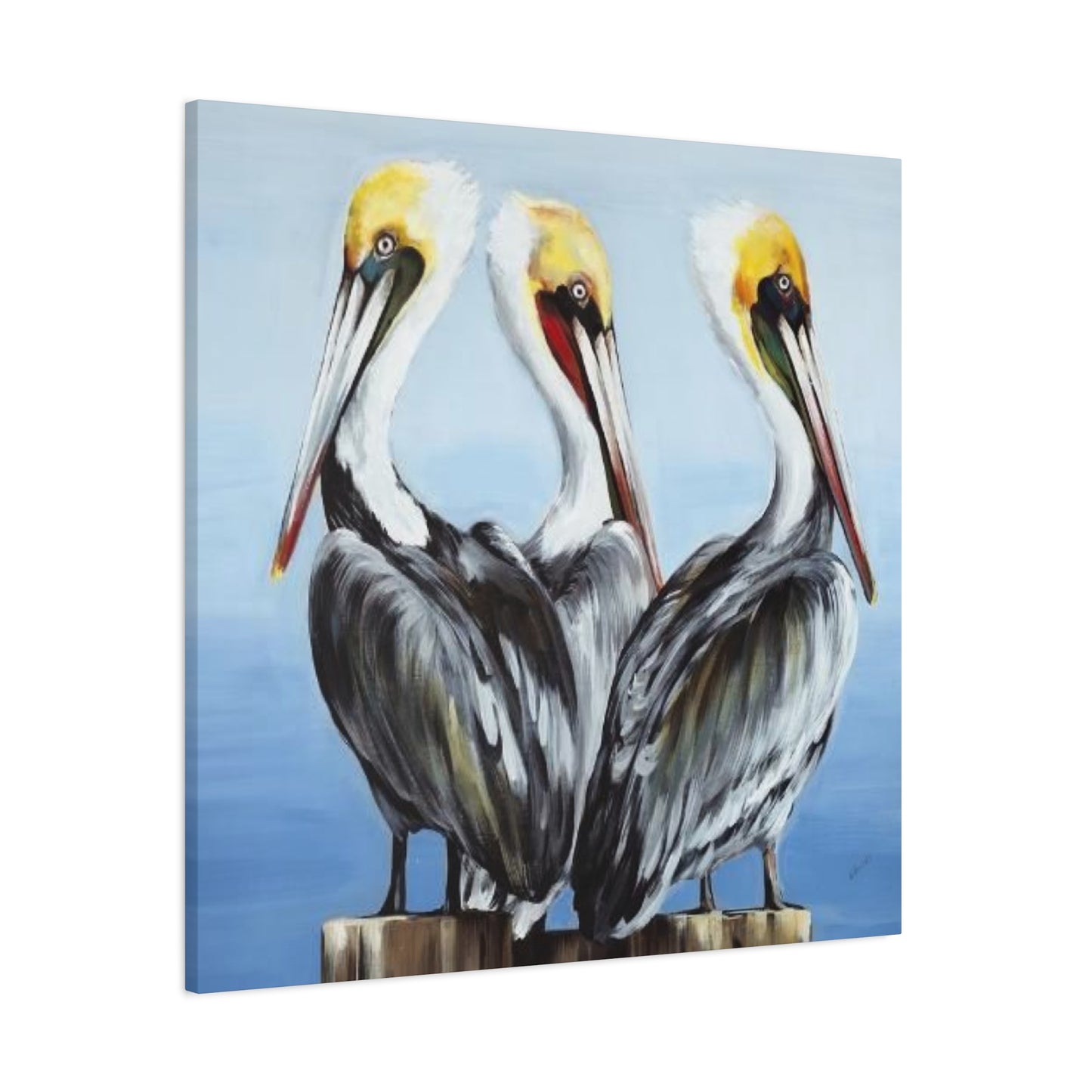 Three Pelican Family Poster Wall Art & Canvas Prints