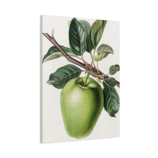 Pear Wall Art & Canvas Prints