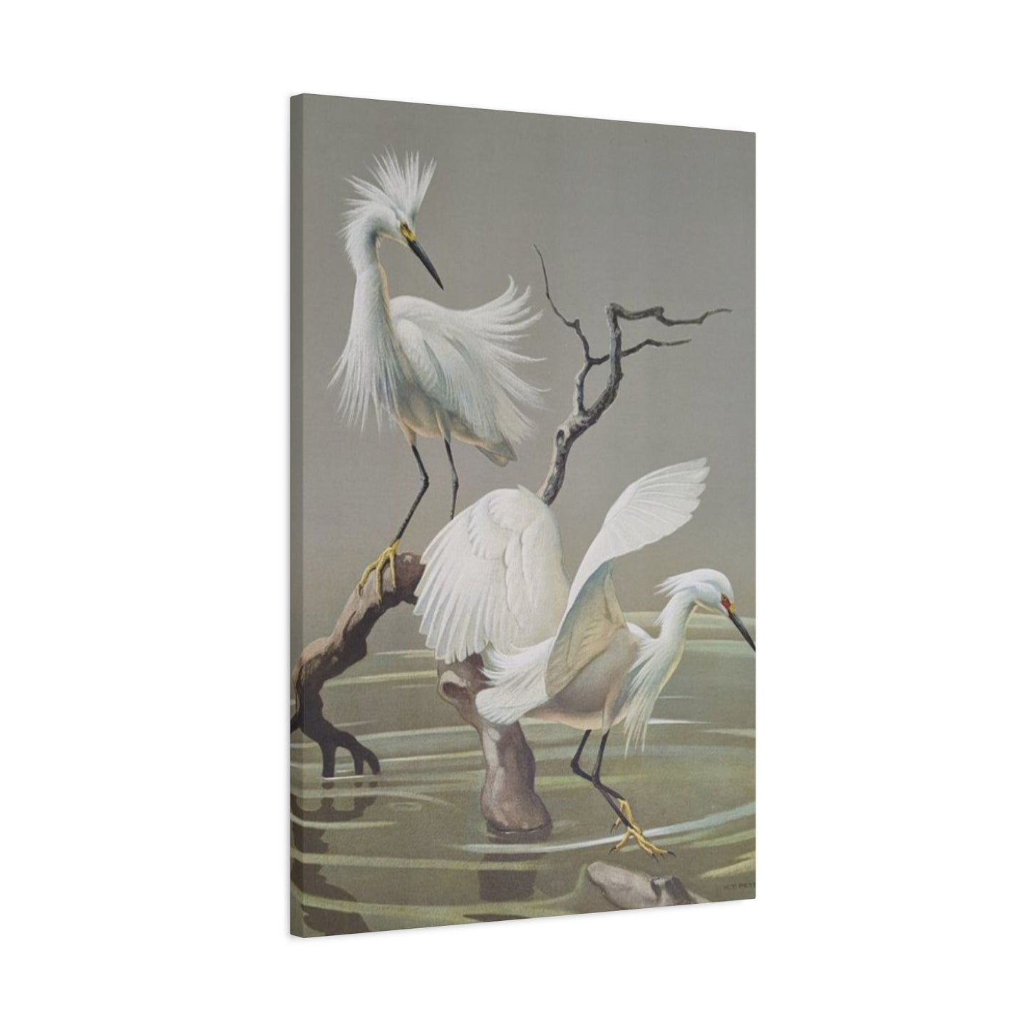 Beautiful Herons Photography Wall Art & Canvas Prints