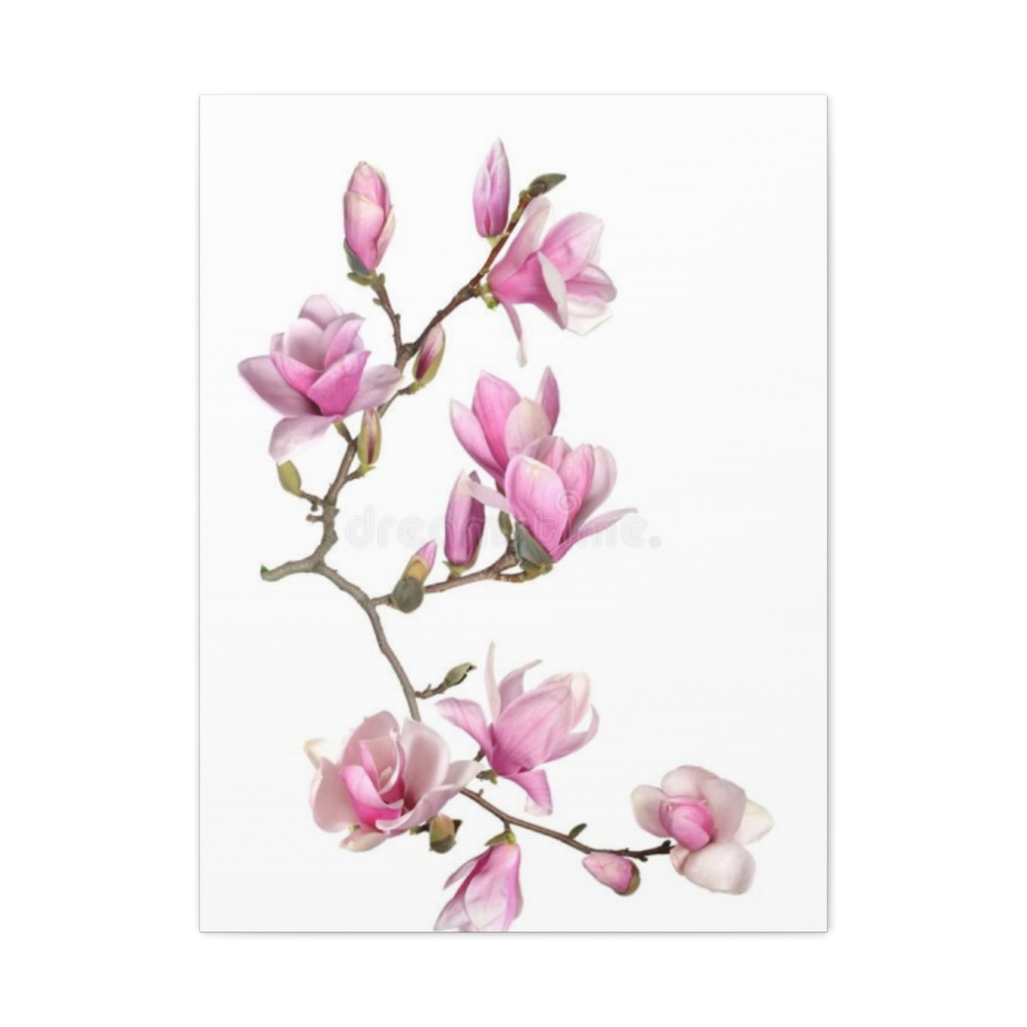 Beautiful Pink Magnolia Flower Painting Wall Art & Canvas Prints