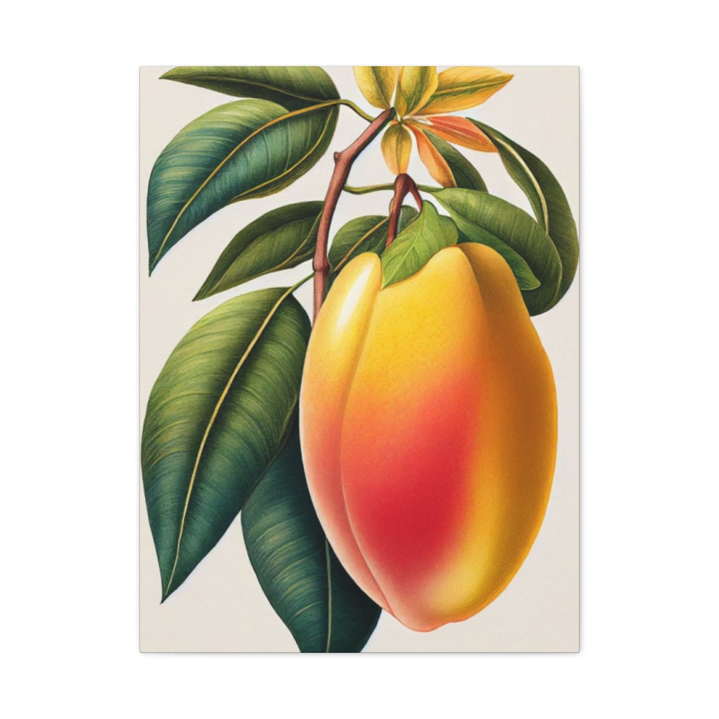 Mango Wall Art & Canvas Prints