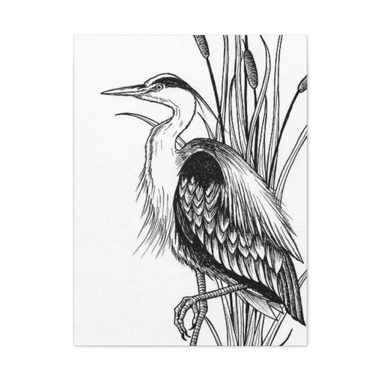 White Heron Drawing Wall Art & Canvas Prints