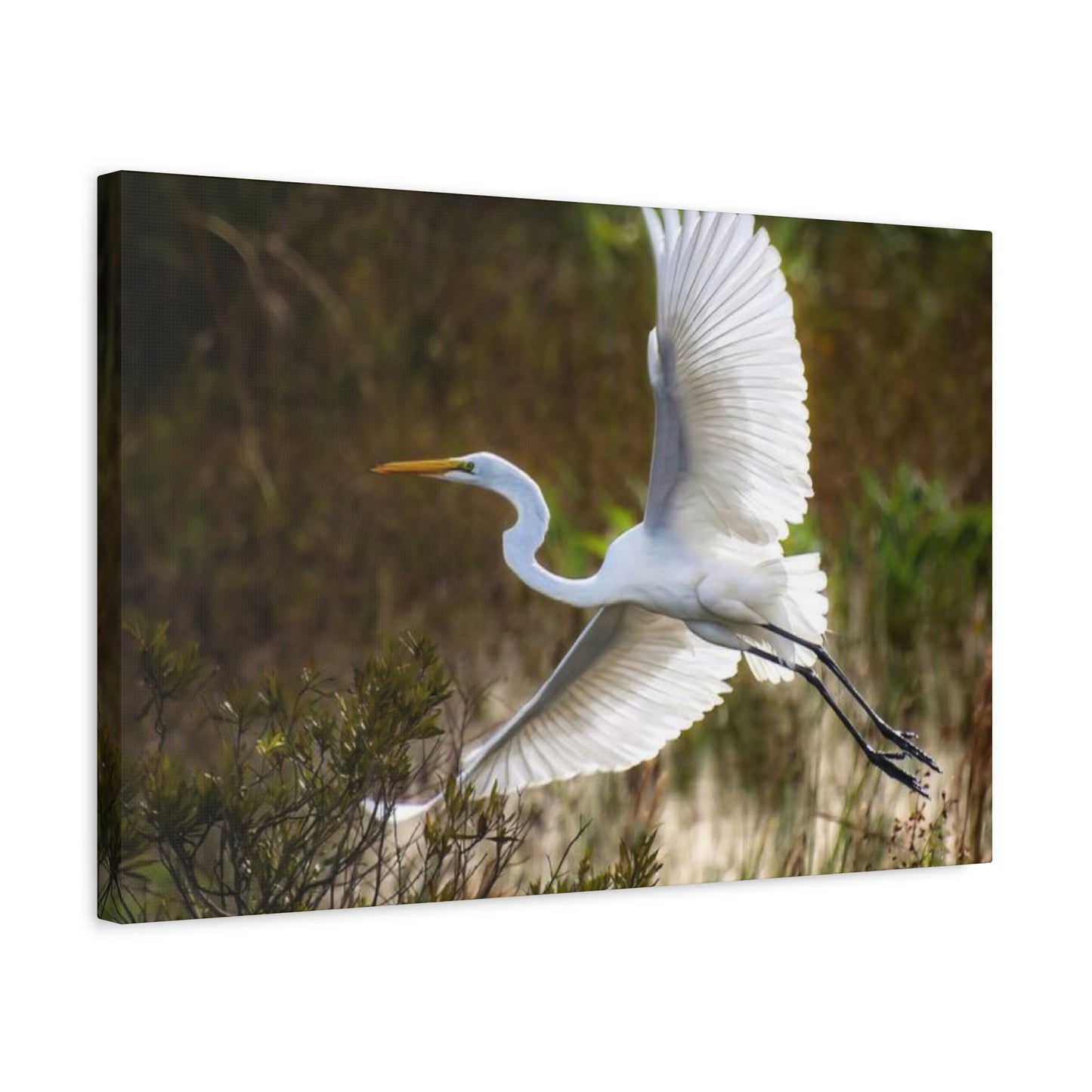 Flying Heron Wall Art & Canvas Prints