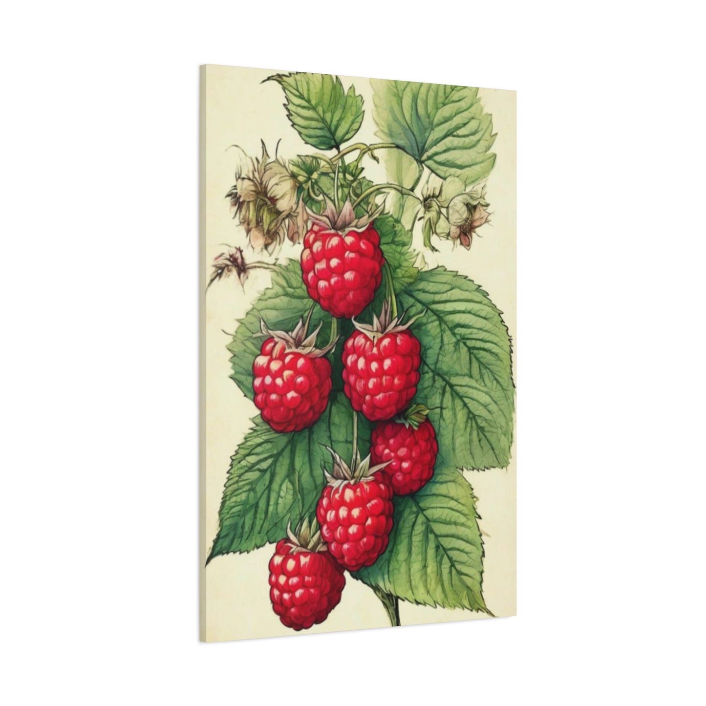 Strawberry Wall Art & Canvas Prints