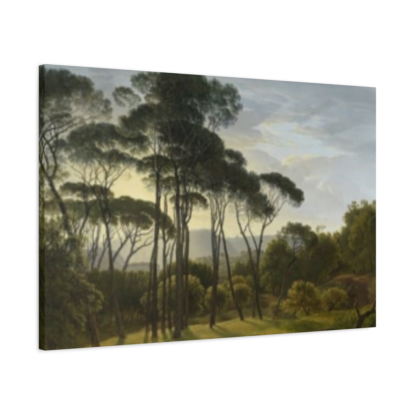 Beautiful Wildlife Panoramas Wall Art & Canvas Prints