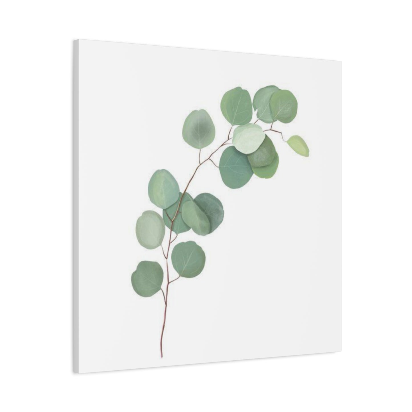 Eucalyptus Stem Wall Art & Canvas Prints