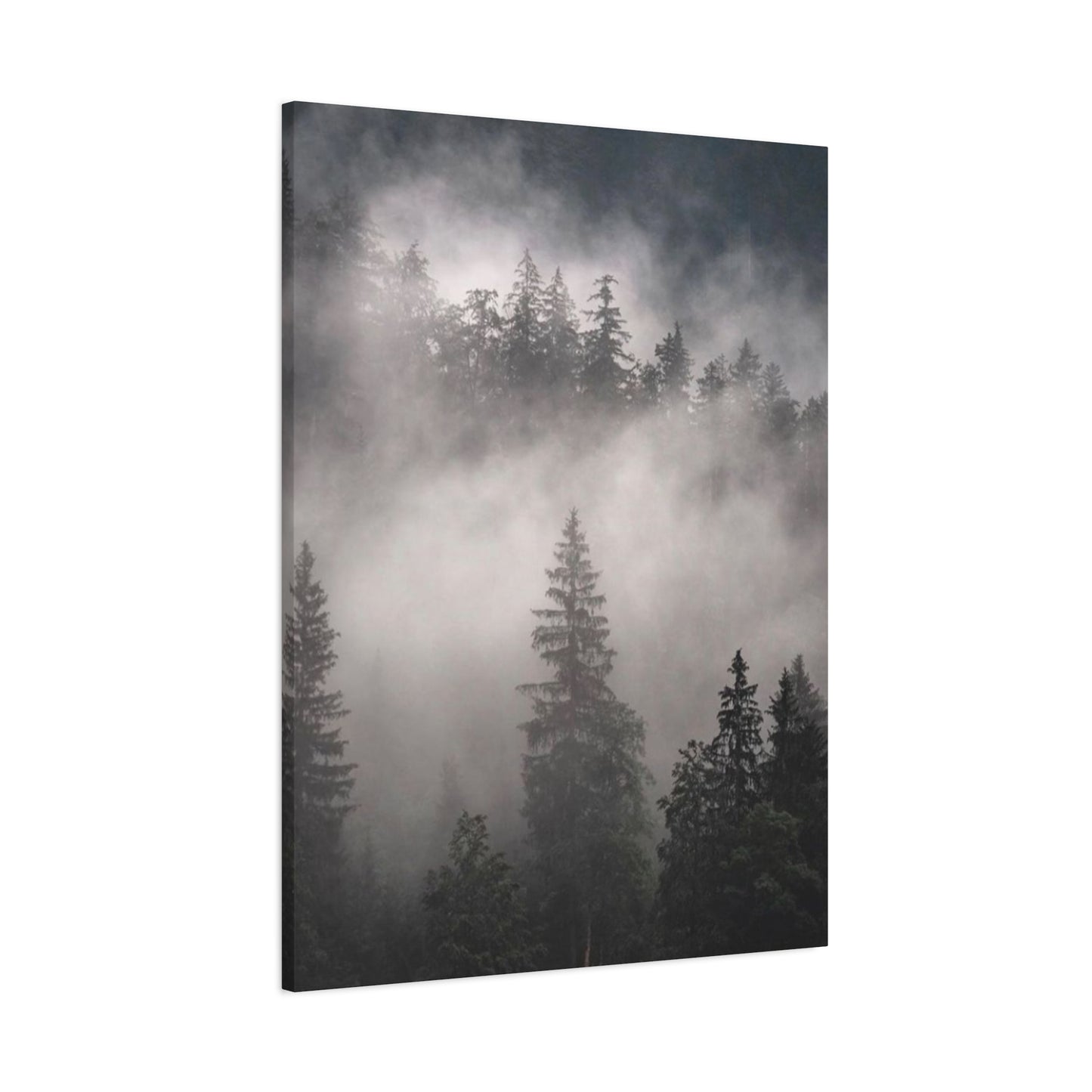 Tropical Forest Wall Art & Canvas Prints