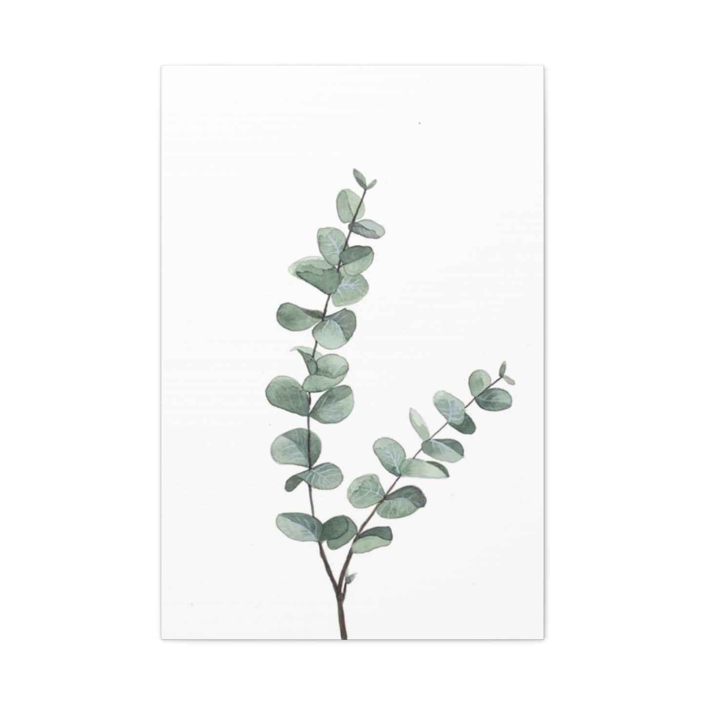 Eucalyptus Stem Wall Art & Canvas Prints