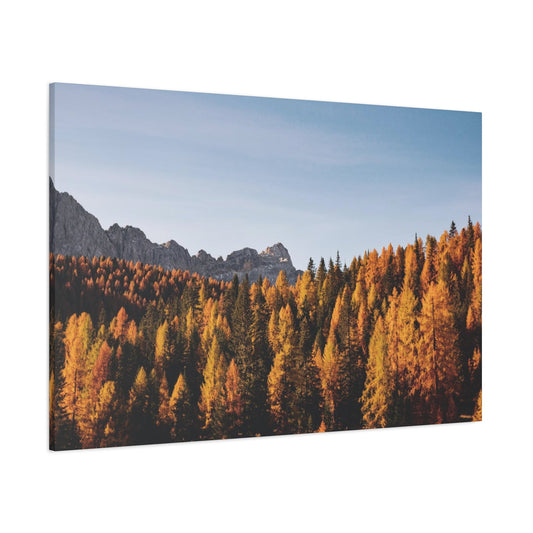 Fall Wall Art & Canvas Prints