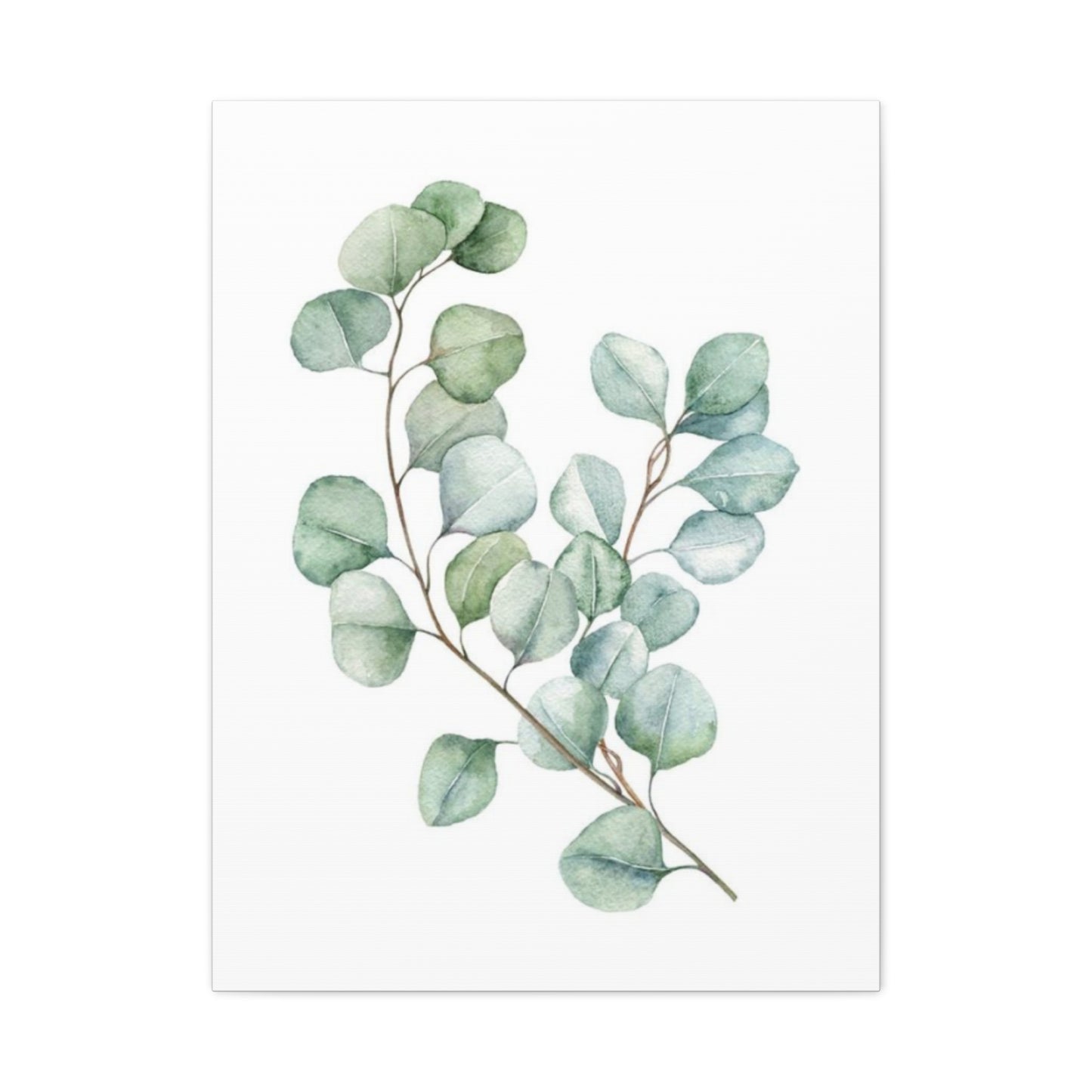 Eucalyptus Stem Wall Art & Canvas Prints