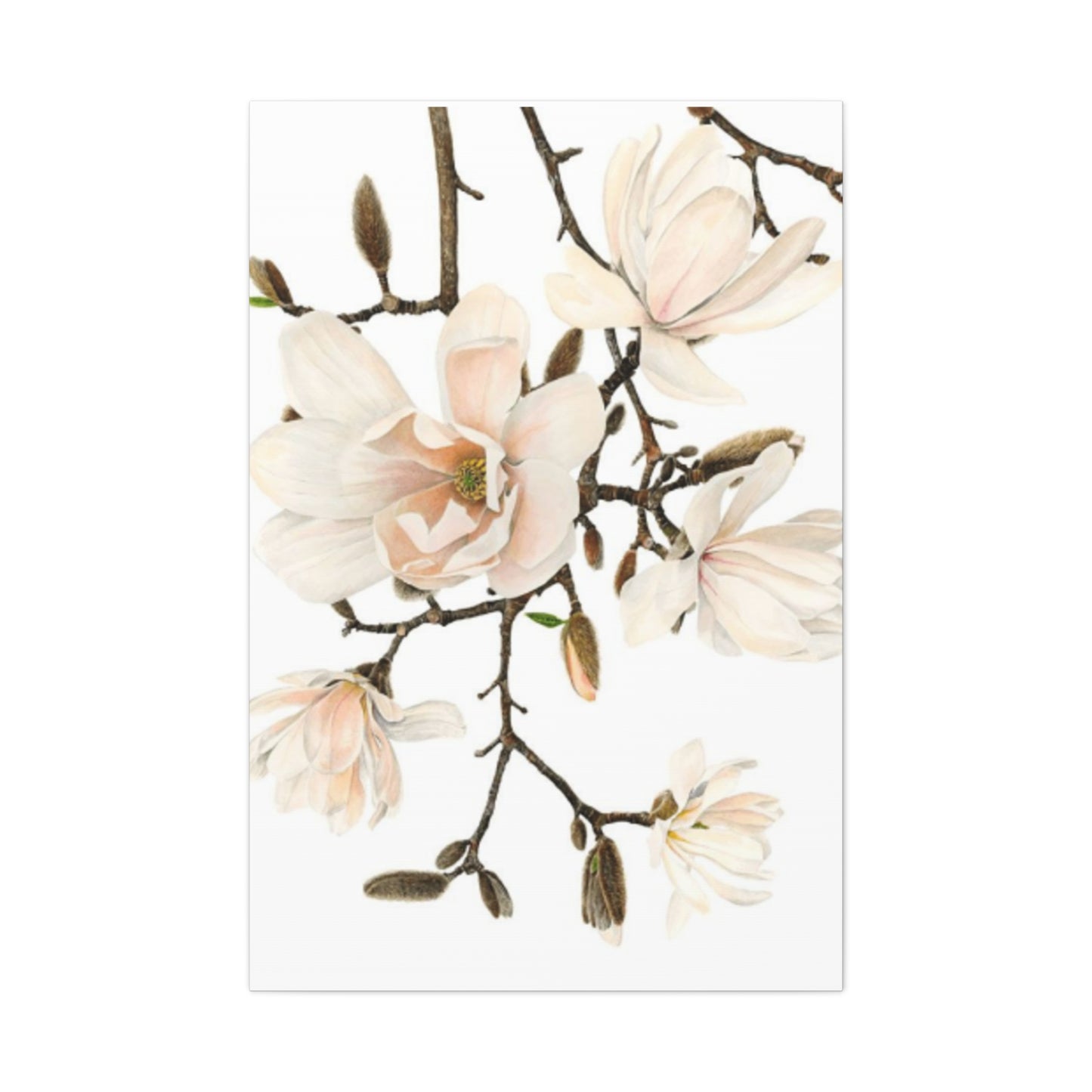 Pink Magnolia Flower Painting Wall Art & Canvas Prints