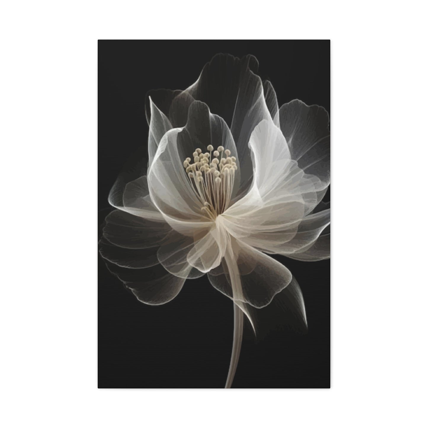 White flower Wall Art & Canvas Prints