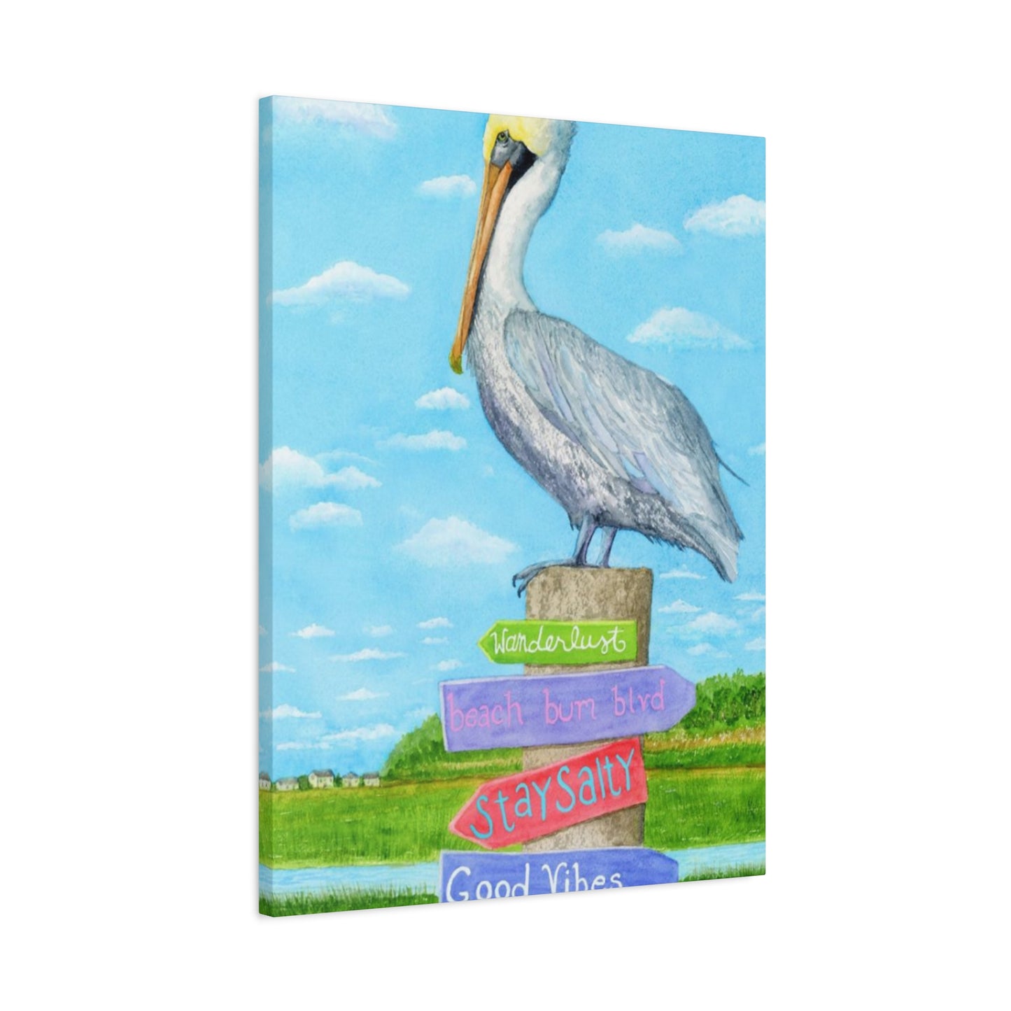 Long Beak Pelican Colorful Drawing Wall Art & Canvas Prints