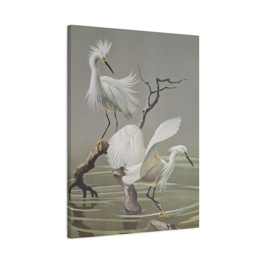 Beautiful Herons Photography Wall Art & Canvas Prints