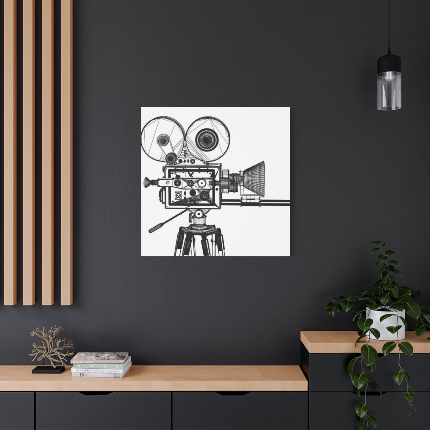 Cinema Camera Wall Art & Canvas Prints