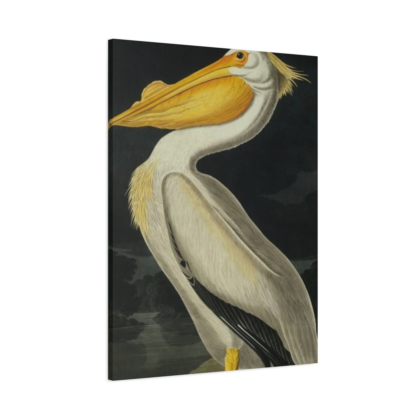 Fat Beak Pelican Painting Wall Art & Canvas Prints