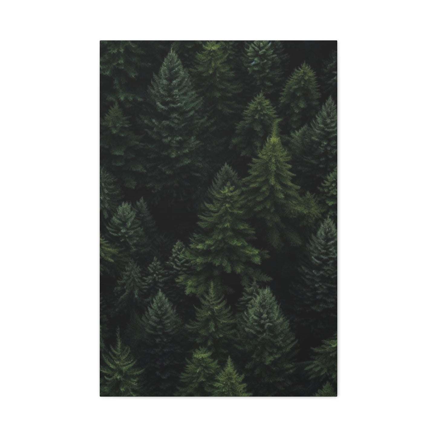 Tropical Pine Forest Wall Art & Canvas Prints