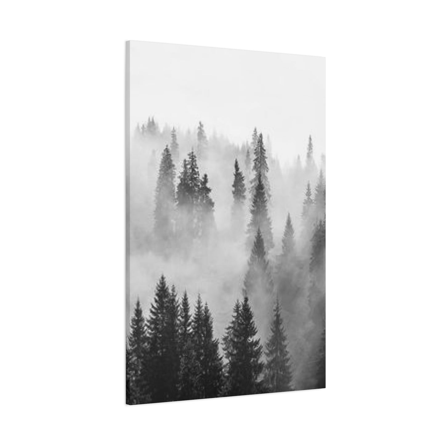 Black & White Fog Forest Fine Wall Art & Canvas Prints