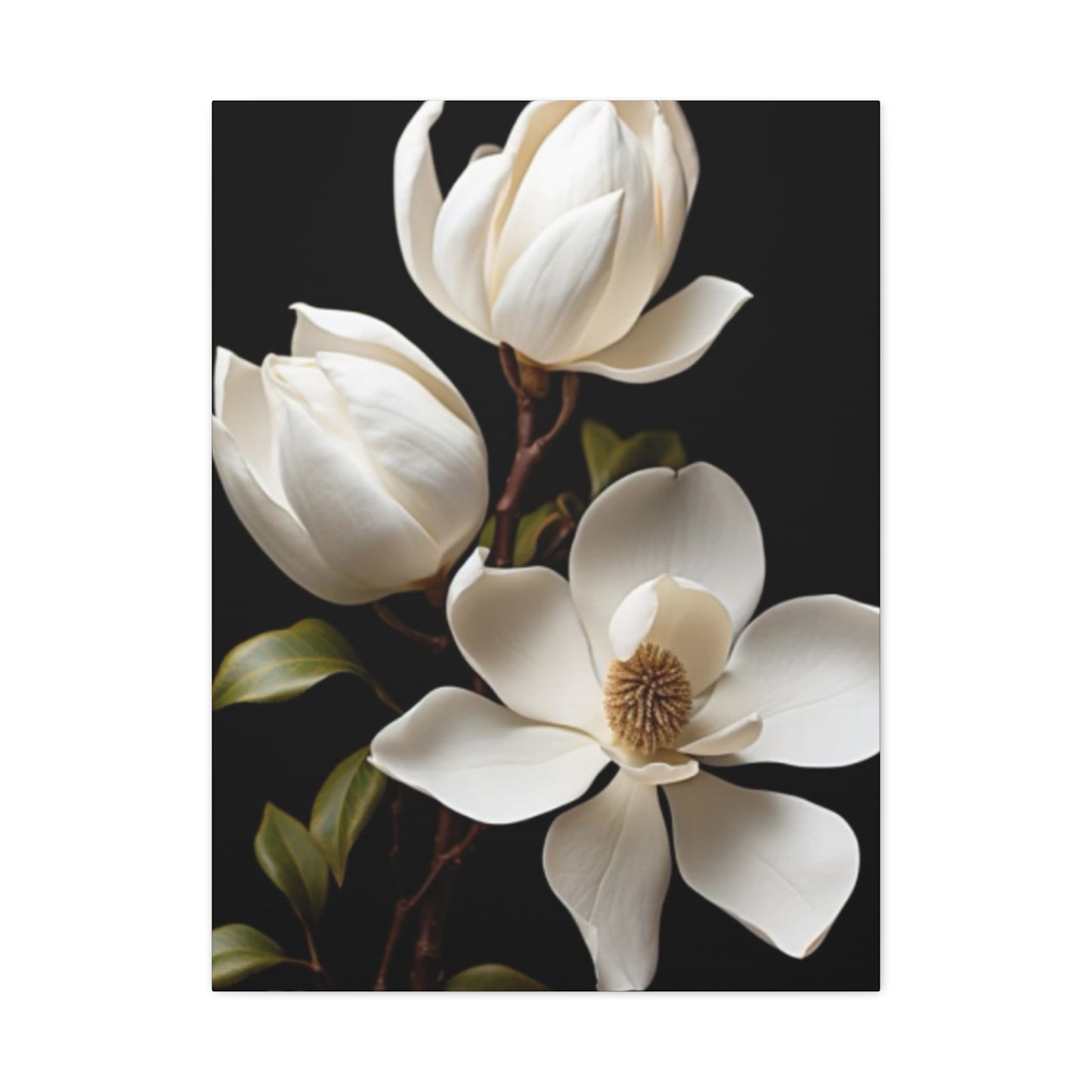 Magnolia Flower Family Painting Wall Art & Canvas Prints