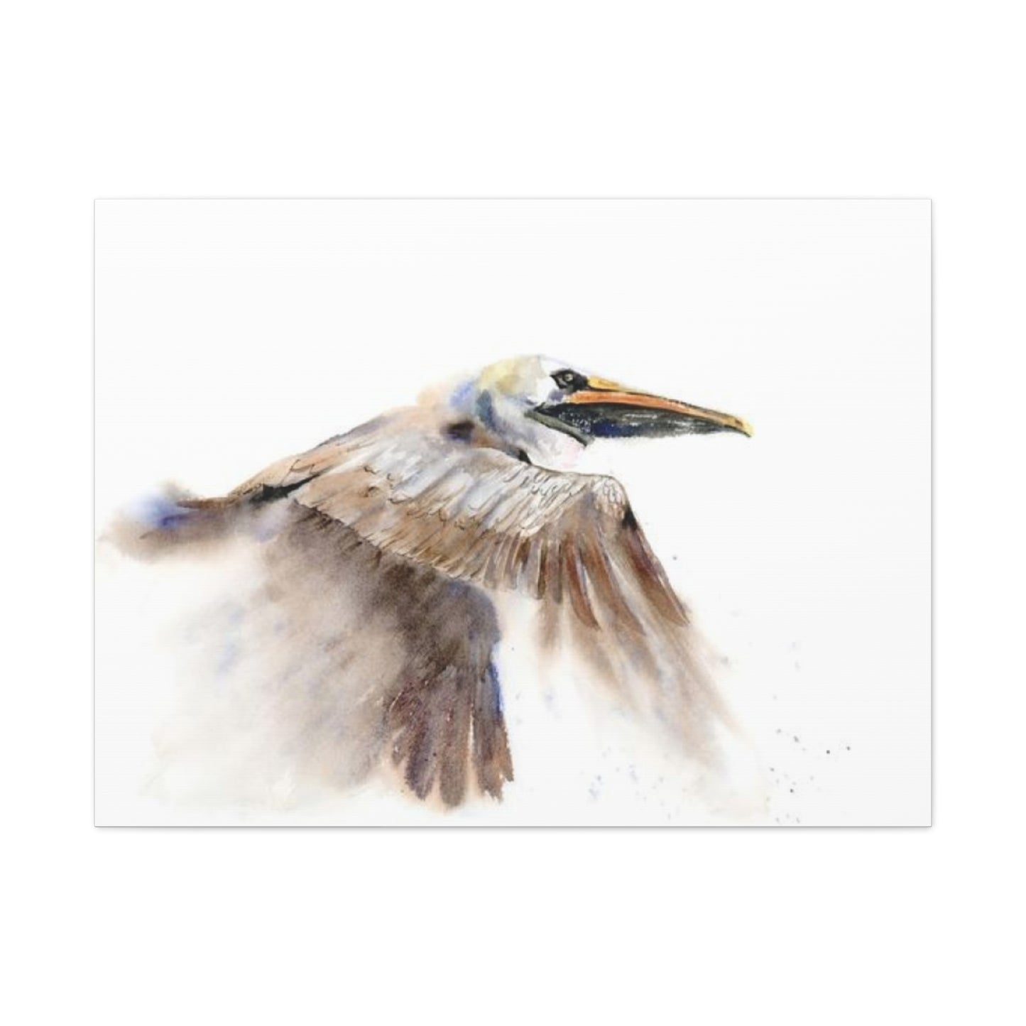 Long Beak Flying Pelican Wall Art & Canvas Prints