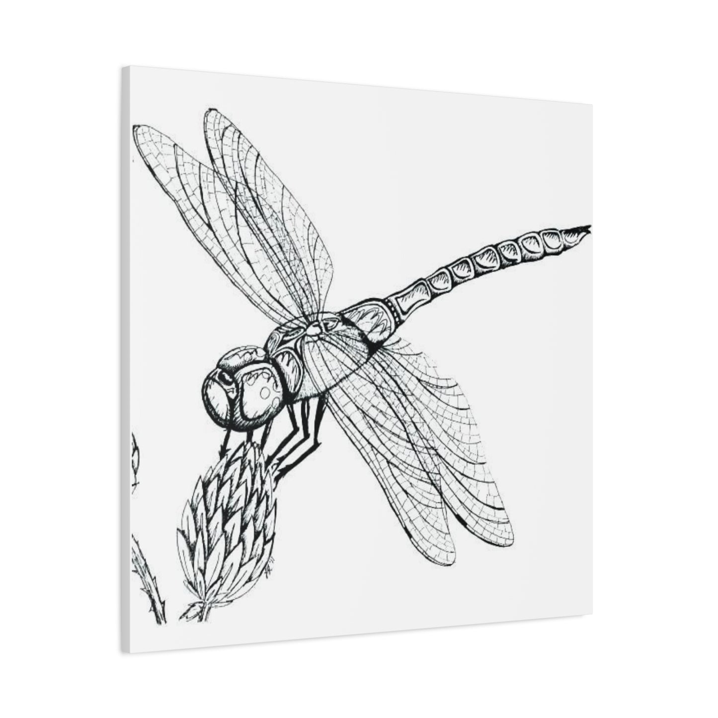 Black & White Dragonfly Wall Art & Canvas Prints