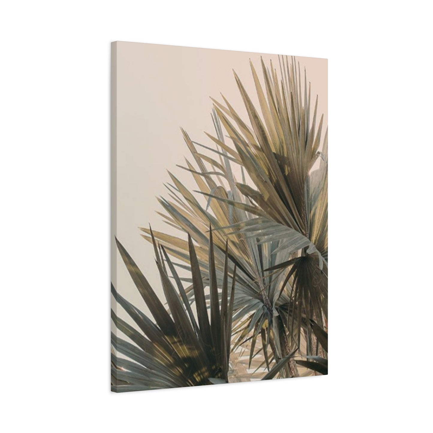 Palm Tree Leaves Close Up Wall Art & Canvas Prints