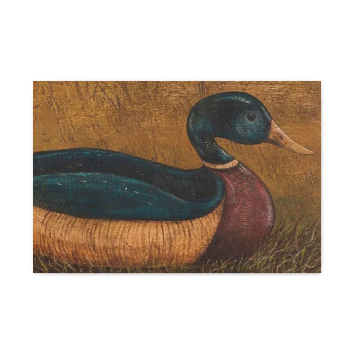 Duck Kimble Warren Wall Art & Canvas Prints