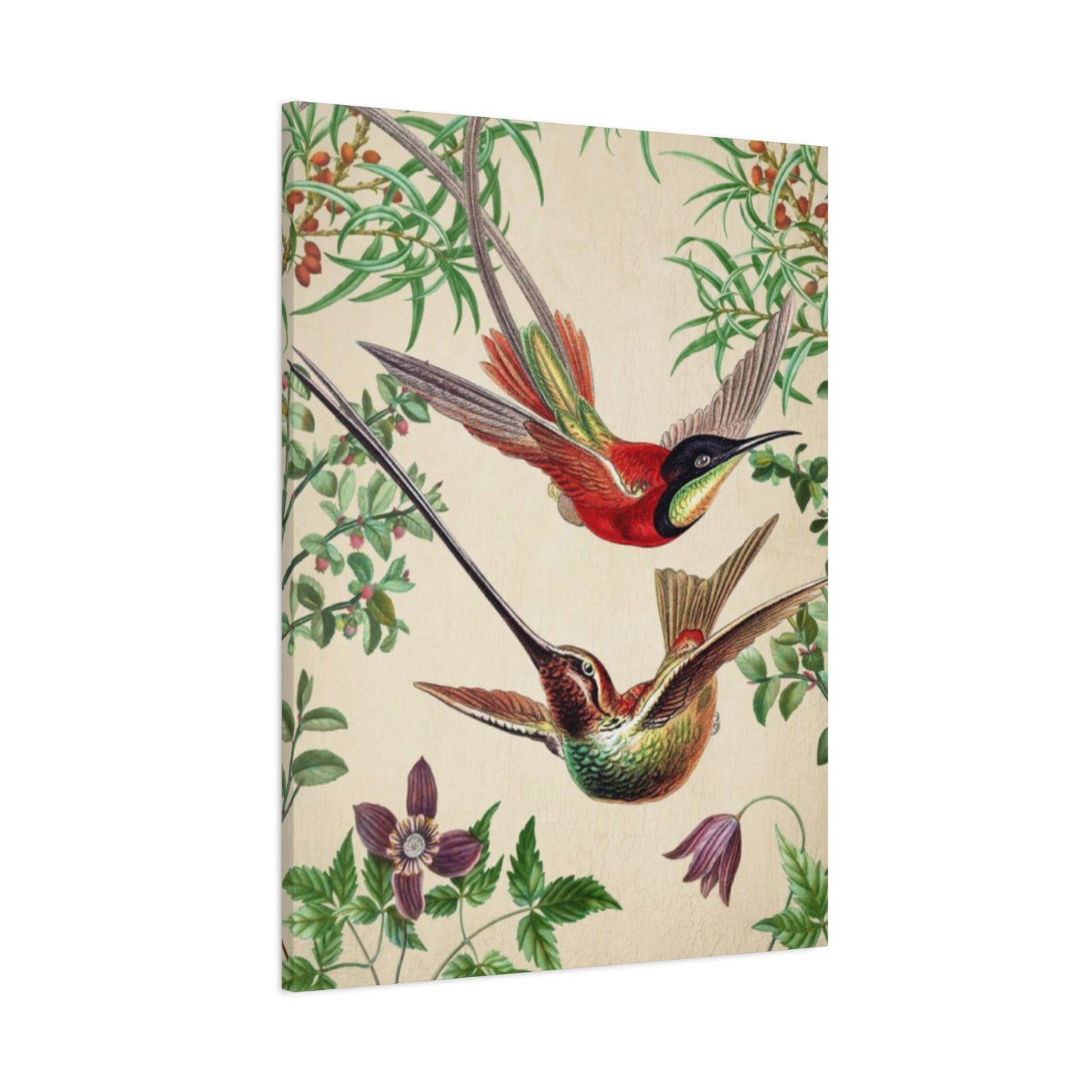 Humming Bird Couple Candid Painting Wall Art & Canvas Prints