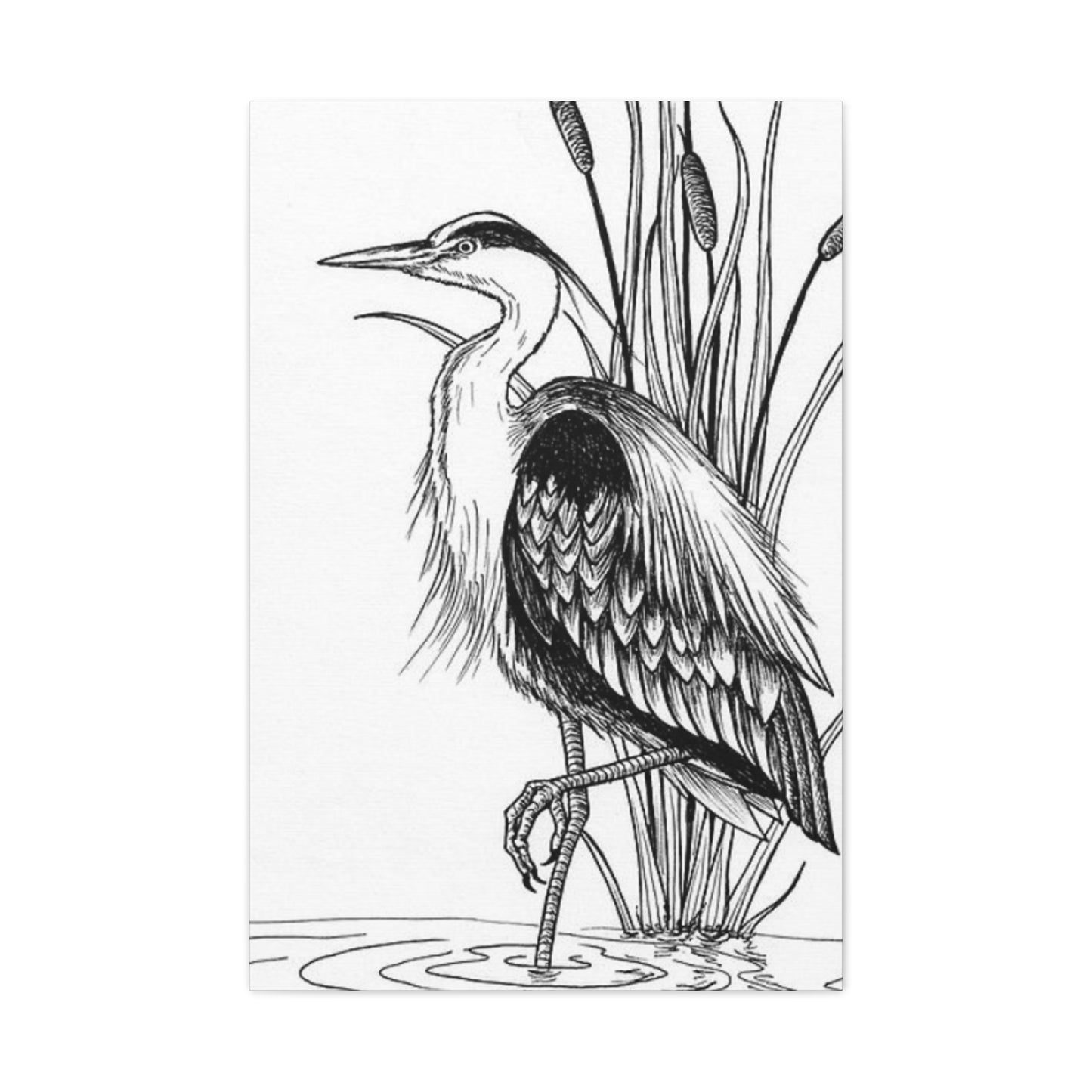 White Heron Drawing Wall Art & Canvas Prints