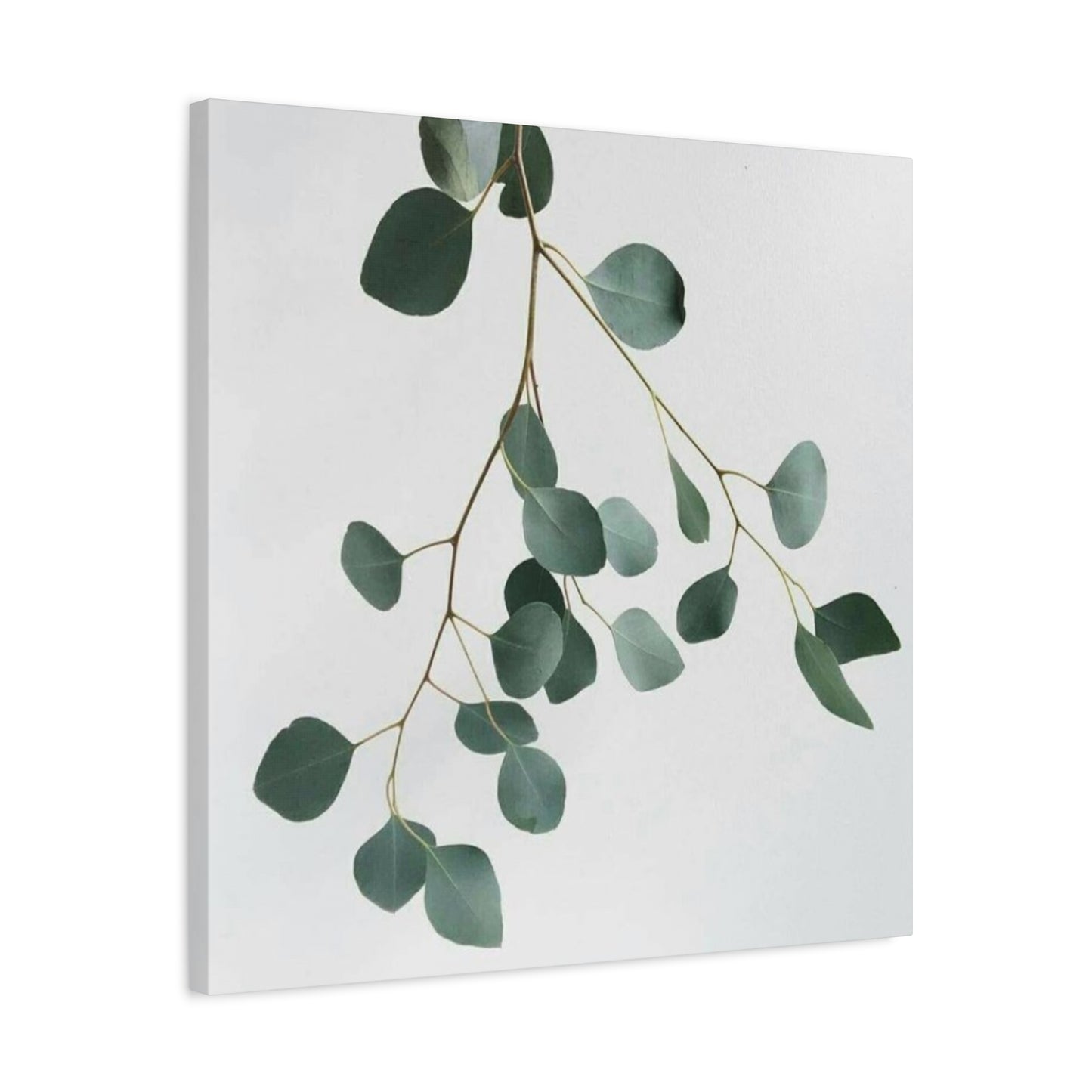 Falling Eucalyptus Plant Wall Art & Canvas Prints