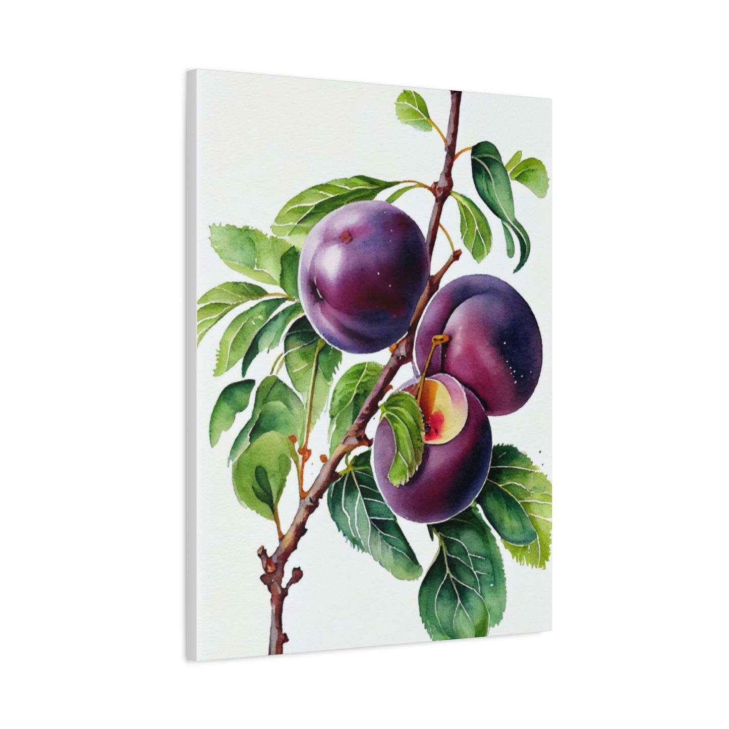 Black Plum Wall Art & Canvas Prints